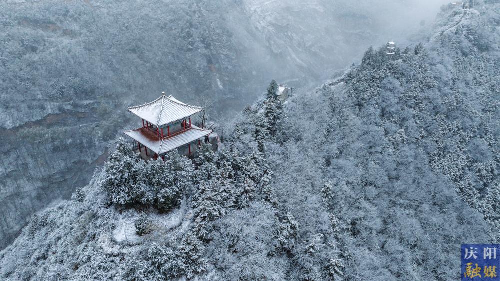 【视觉庆阳】今冬初雪美 霜叶琼花飞