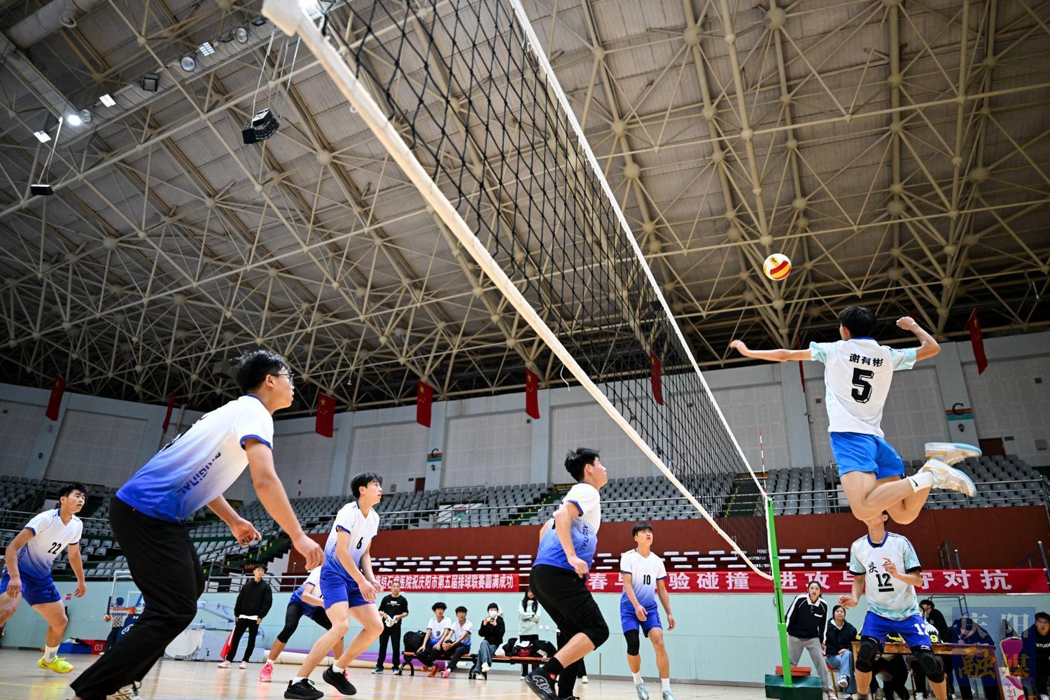 【摄影报道】庆阳市第五届排球联赛国庆期间火热开赛