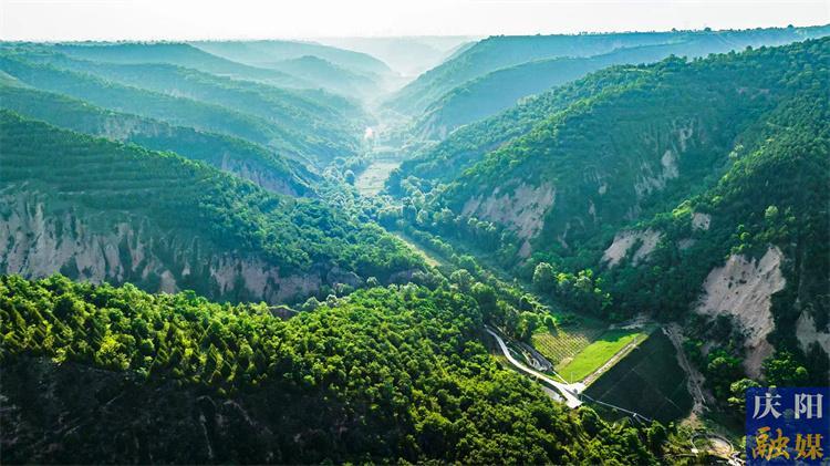 从黄土高原到燕园讲堂——西峰局以“碳汇”破题书写县域善治的绿色答卷