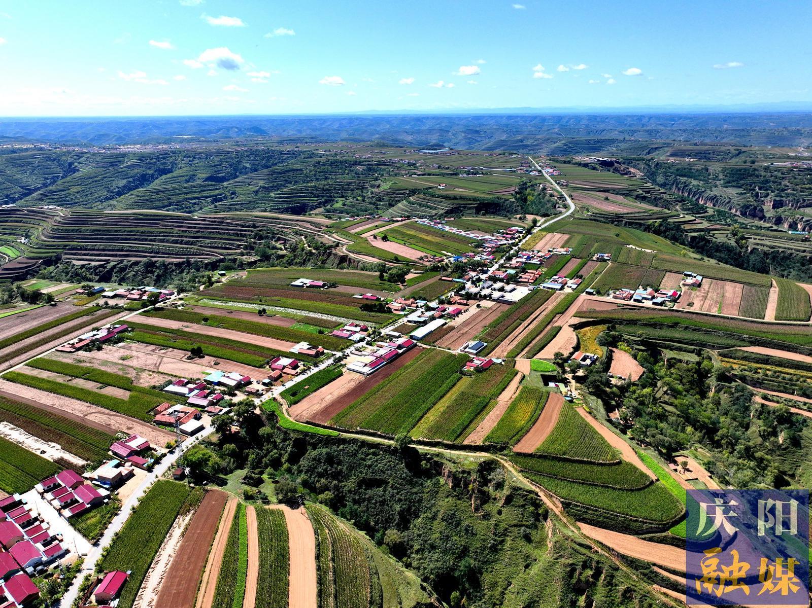 【回乡偶记】我的唐家塬，变了模样