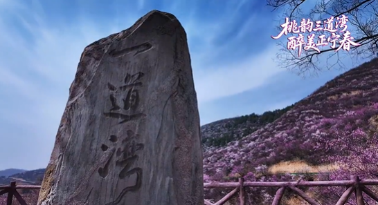 桃韵三道湾 醉美正宁春