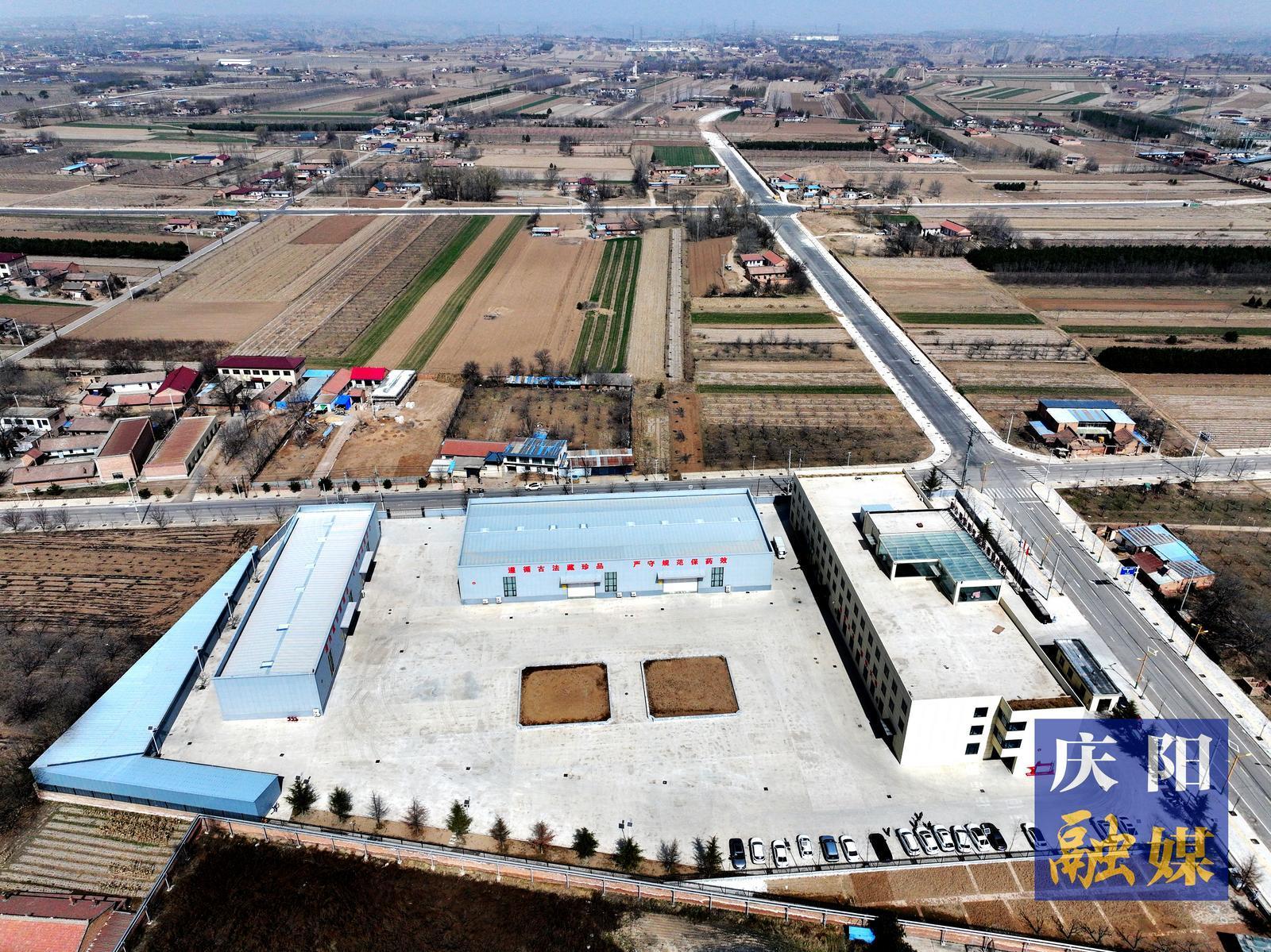 【摄影报道】庆阳神州同泰药业：年产能5000吨中药饮片生产线加速运转