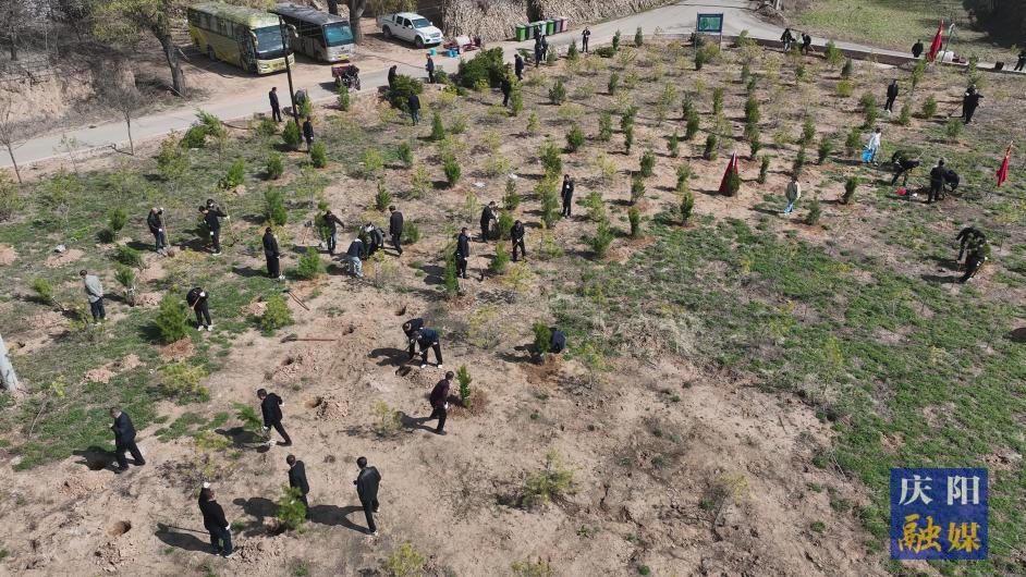 庆阳市水保局党总支与西峰区水保局党支部联合开展主题党日活动