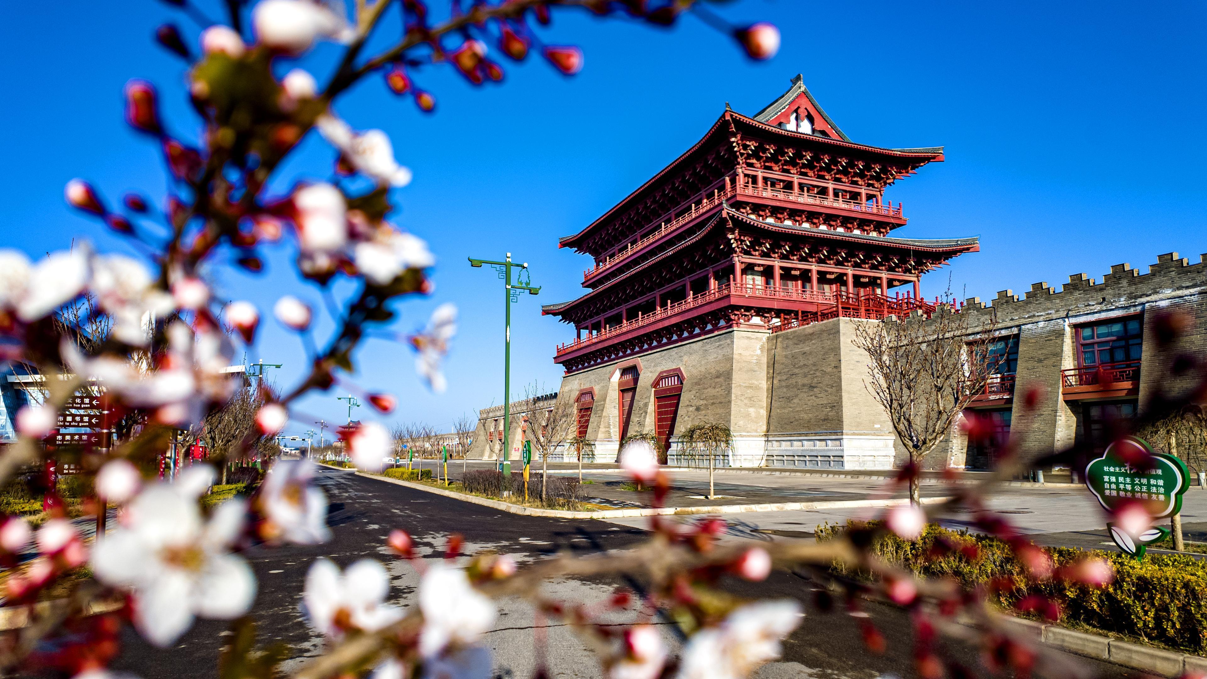 【视觉庆阳】春染大塬  满眼诗画