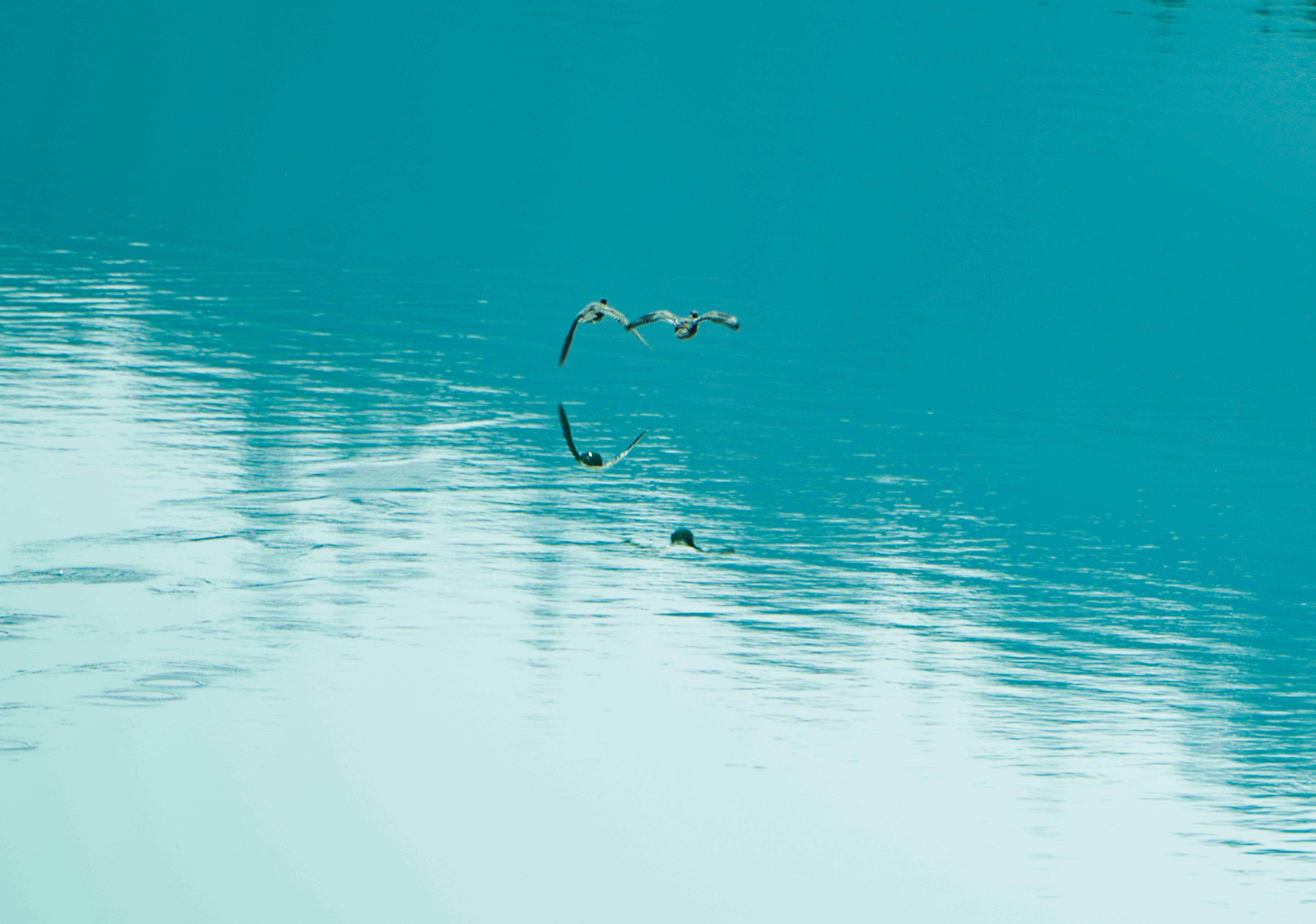 【摄影报道】环县乔儿沟水库：一汪碧水映春光