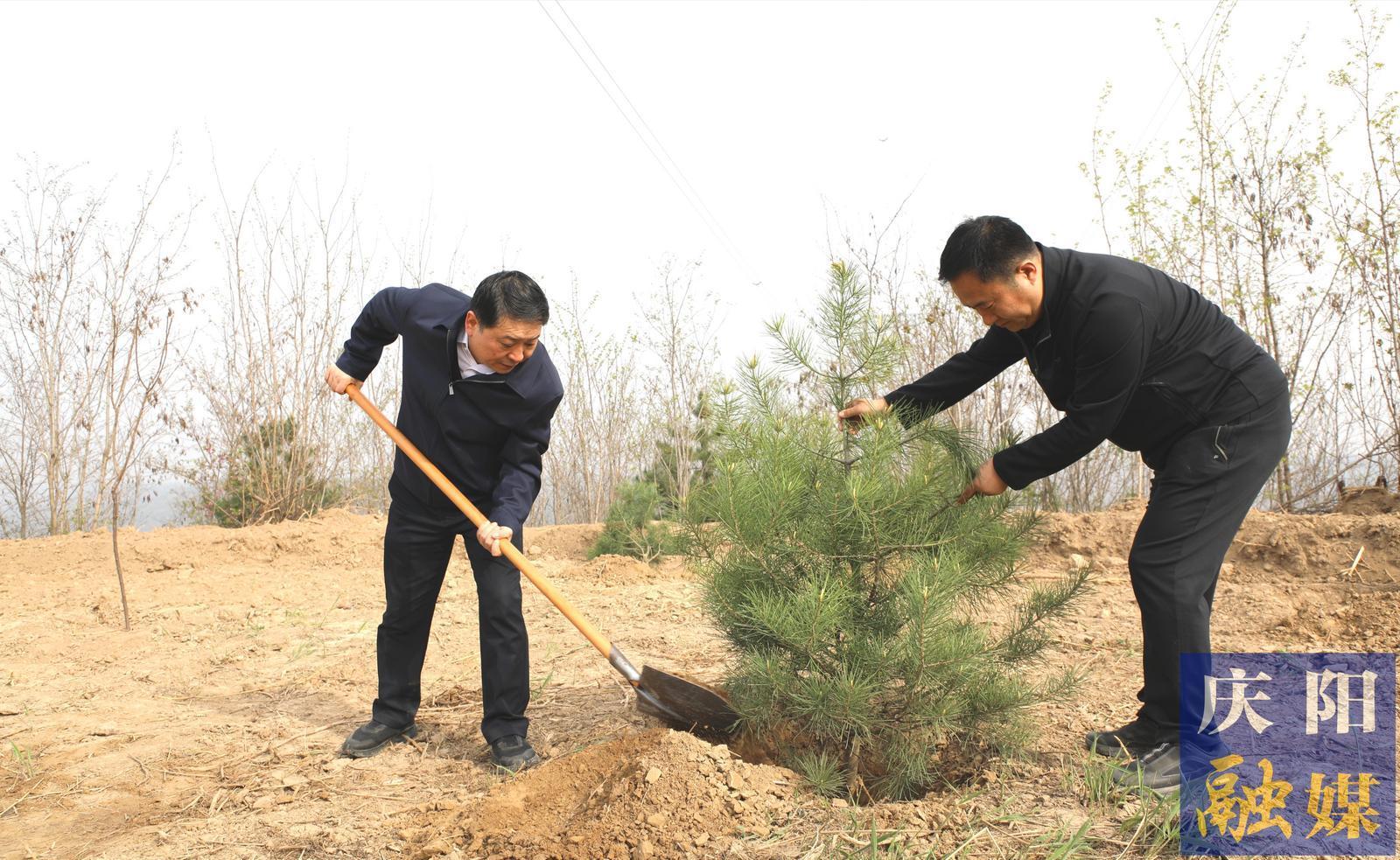 庆阳市2026年市级机关义务植树活动在西峰区举行