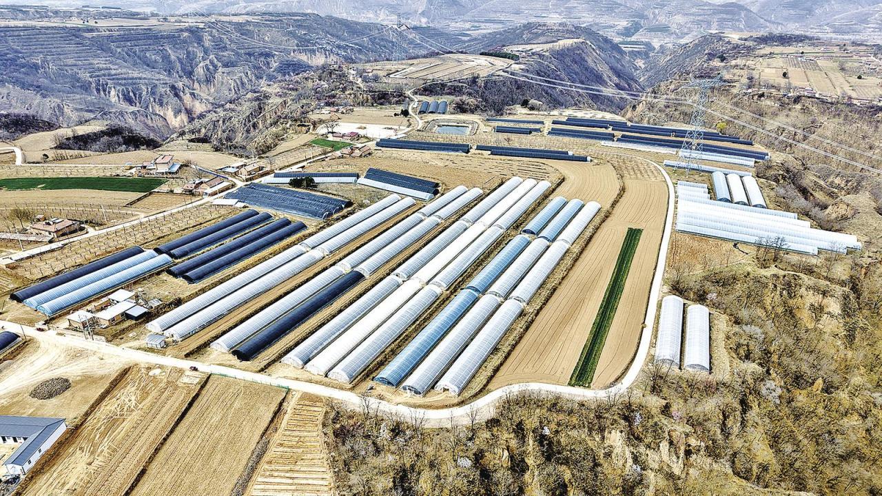 《陇东报》特刊·县区观察 | 合水：沃野铺锦勤耕耘 产业兴旺绘新景