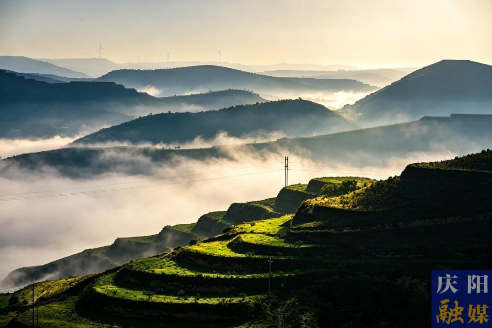 【视觉庆阳】夏润黄土塬 美景满庆阳