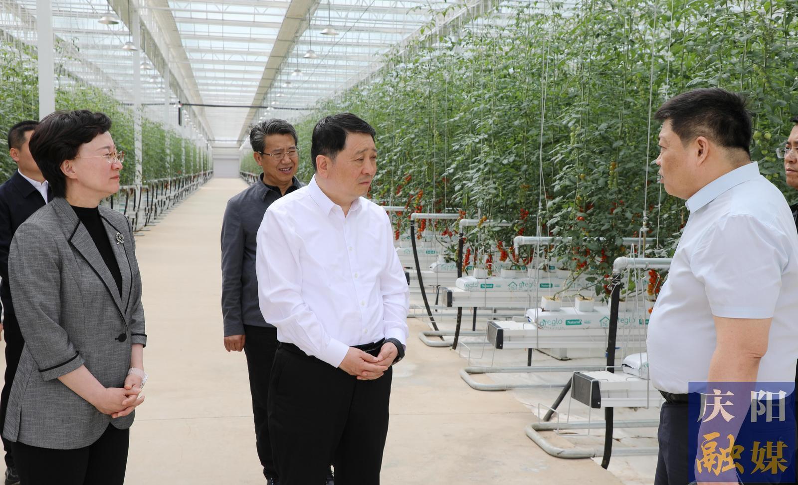 周继军在镇原县调研时强调 在延链补链上下功夫 在提质增效上做文章 以产业大突破促进县域经济大发展民生福祉大改善